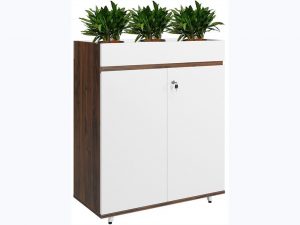 TỦ TÀI LIỆU LUXURY LUX1000-2T2