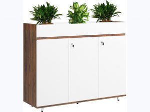 TỦ TÀI LIỆU LUXURY LUX1000-3T2