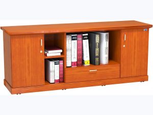TỦ PHỤ CỐ ĐỊNH VENEER TPVM2