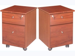 HỘC DI ĐỘNG SƠN PU M1D1F
