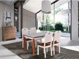 BỘ BÀN GHẾ ĂN BA503B + GA503